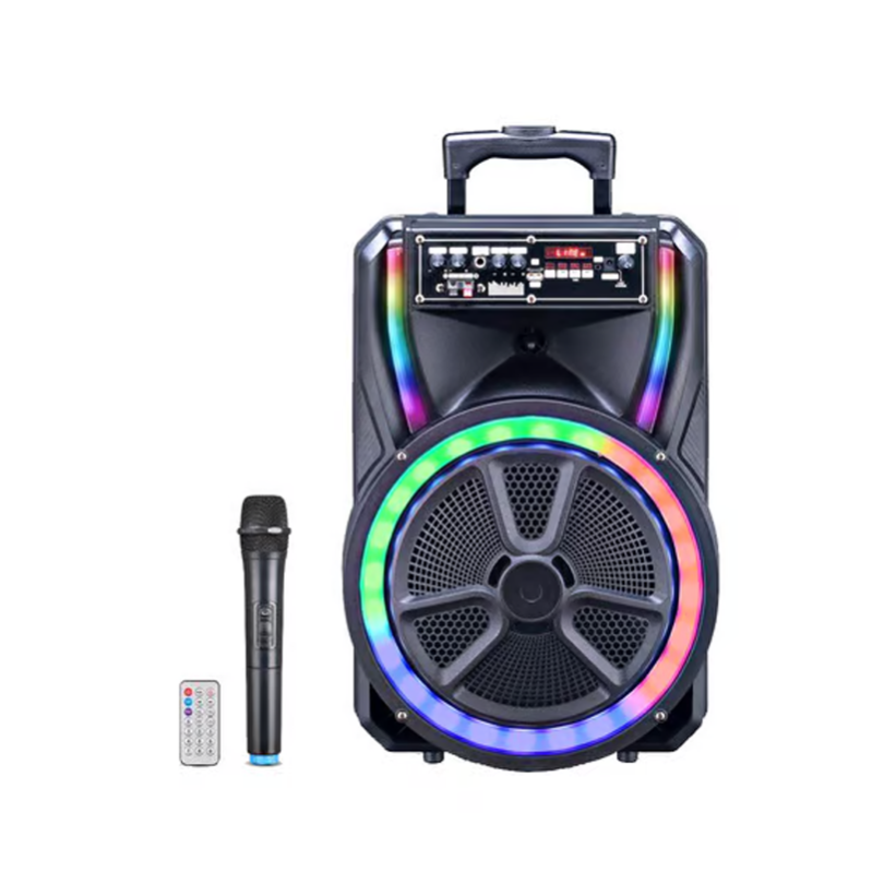 Karaoke Wireless Speaker TWS with Double Mic 15 in BT Speakers | Bravo ...